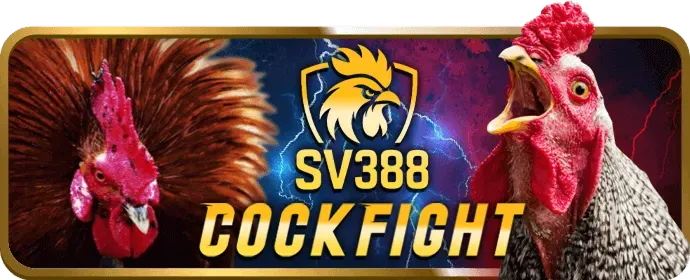 Chính sách bảo mật vn123